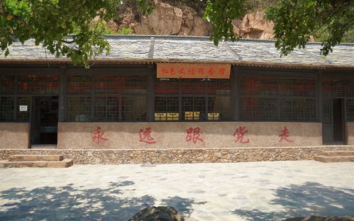 對話兩優一先丨邢衛兵 看青山更綠 賞村莊更美 享生活更好