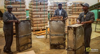 人在非洲 一座紅茶廠養活一方人