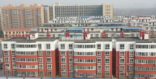 十八莊十八變 新鄉市楊廠村 四亂村 變成黃河灘區 花園村