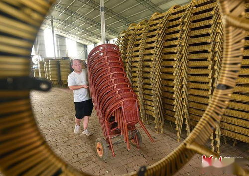 肥鄉 藤椅 編 出農民致富路