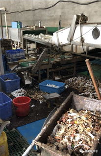 食物殘渣堆車間,臟手套擦杯盤 這家廠每天兩萬多套餐具銷往京冀