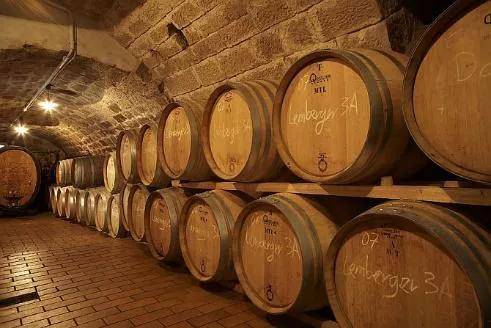 群星匯集,誰最閃耀 中德致久攜6家精品德國酒莊亮相2022 igc大獎賽