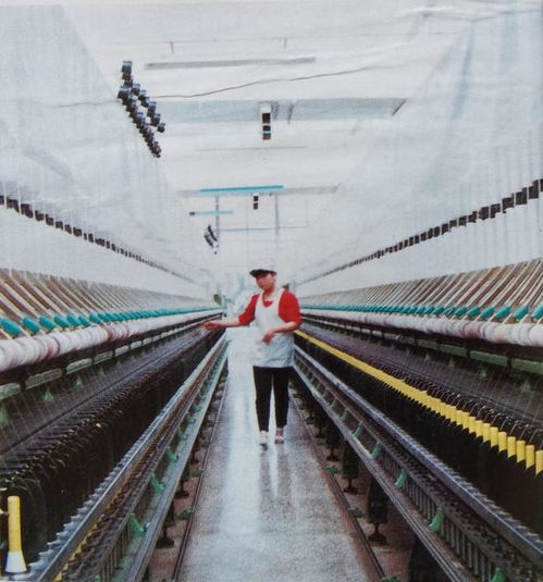 濰坊市濰城棉紡織廠丨一個小村莊成長起來的鄉(xiāng)鎮(zhèn)企業(yè)