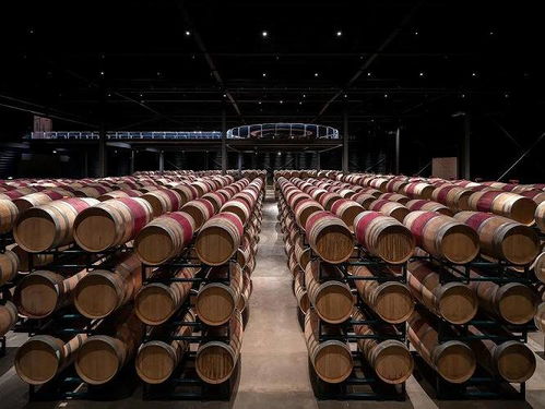 開啟中國精品葡萄酒新紀元,國牌酒莊春節市場表現極速上升