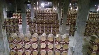 長安城外的歐式風情城堡