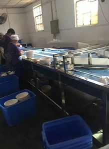 天吶 暗訪昆明十家洗碗廠,洗碗水一周一換...知名餐廳中招 洗碗工自己都不用