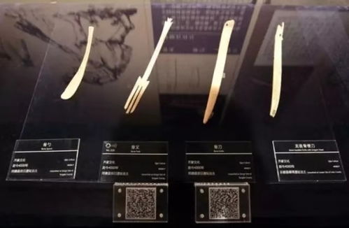 dg,用著我們發明的刀叉,卻嘲笑我們的筷子文化