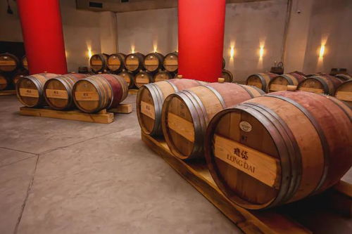 瓏岱酒莊游學之旅即將開啟 精品葡萄酒市場研討會 大師班課程