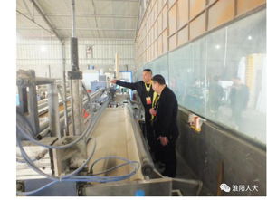 城關鎮人大代表調研紀實