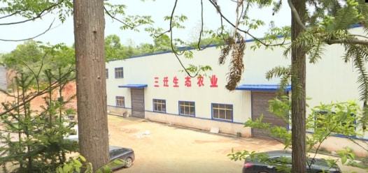 養(yǎng)殖場(chǎng)外泄致長(zhǎng)沙兩村莊遭蒼蠅 圍攻 ,村民稱用筷子就可夾住