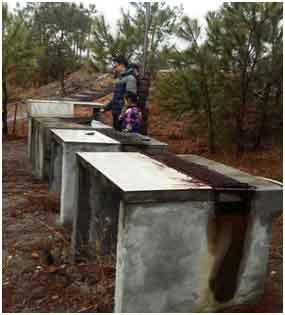 在度假山莊的回億