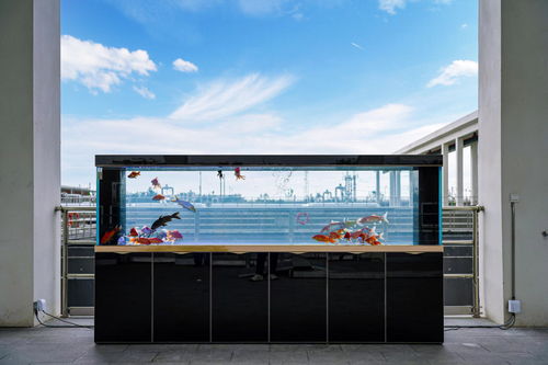 全國生態(tài)日 走進(jìn) 顏值 與 智慧 并存的污水處理廠