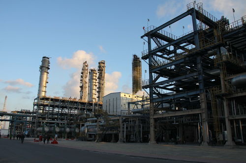 大慶石化塑料廠獲 巾幗建功先進集體 榮譽稱號