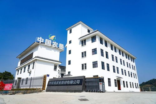 構筑百年企業 開啟百億新征程 1891百年世界白茶之路助力鄉村振興活動在筷子莊舉辦