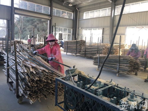 千里躍進決戰決勝 六安產業扶貧助力土特產品走向市場